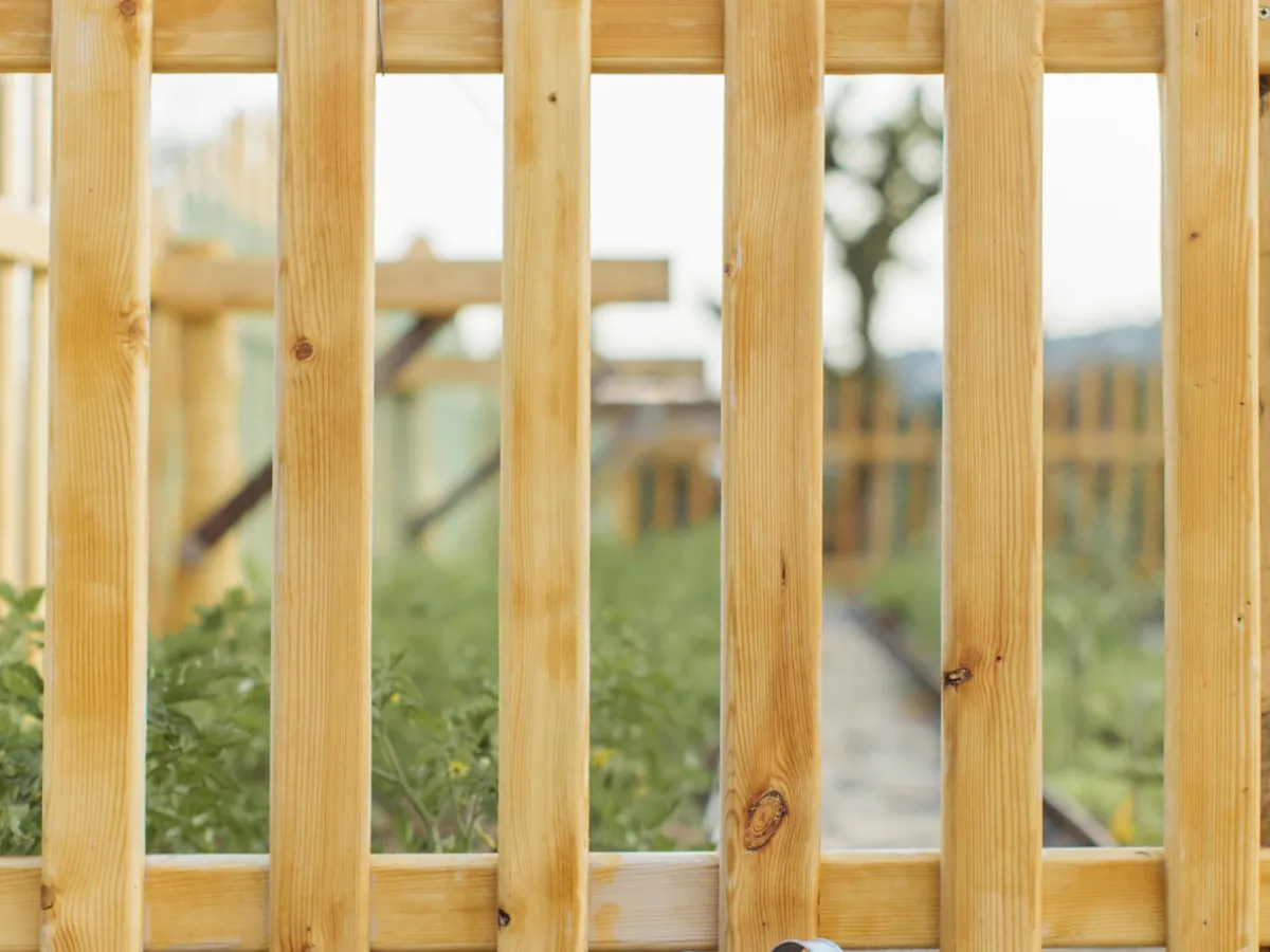 Clôture en lattes de bois clair au bord d'un jardin